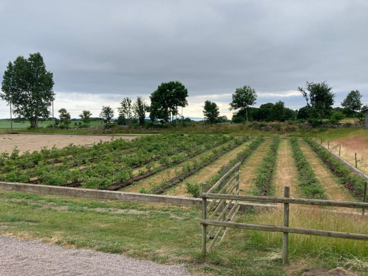 Fin Laegenhet Pa Bjaere Med Naera Till Natur Och Noeje Bastad Exterior photo